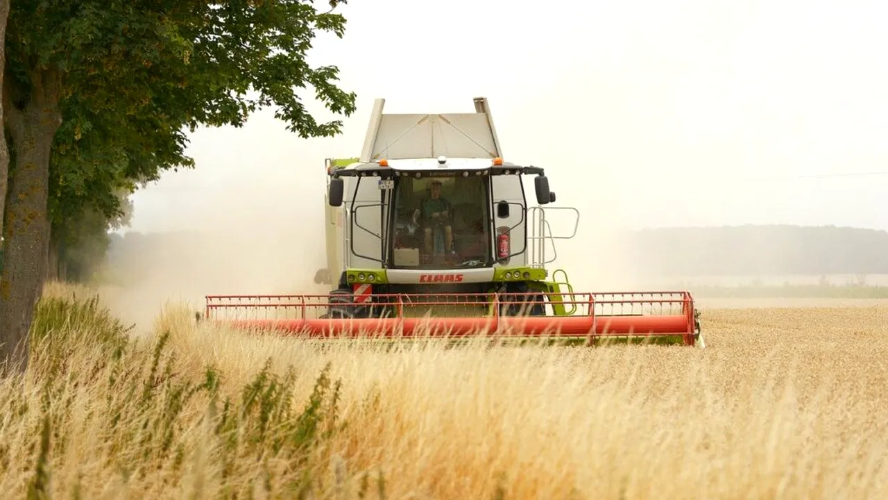 Cât costă să cumperi teren arabil în România și cât plătești în alte state ale Uniunii Europene