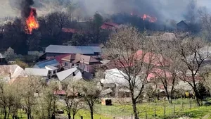 Guvernul alocă noi ajutoare pentru persoanele afectate de incendiul din Soveja, Vrancea: Procedură simplificată și despăgubiri de până la 90% din valoarea caselor