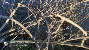 FOTO Maşină blocată în albia unui râu, în Vâlcea. Şoferul a fost salvat de pe capotă, în mijlocul apei