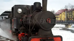 Elena Udrea s-a plimbat cu mocăniţa la miezul nopţii, la Gura Humorului