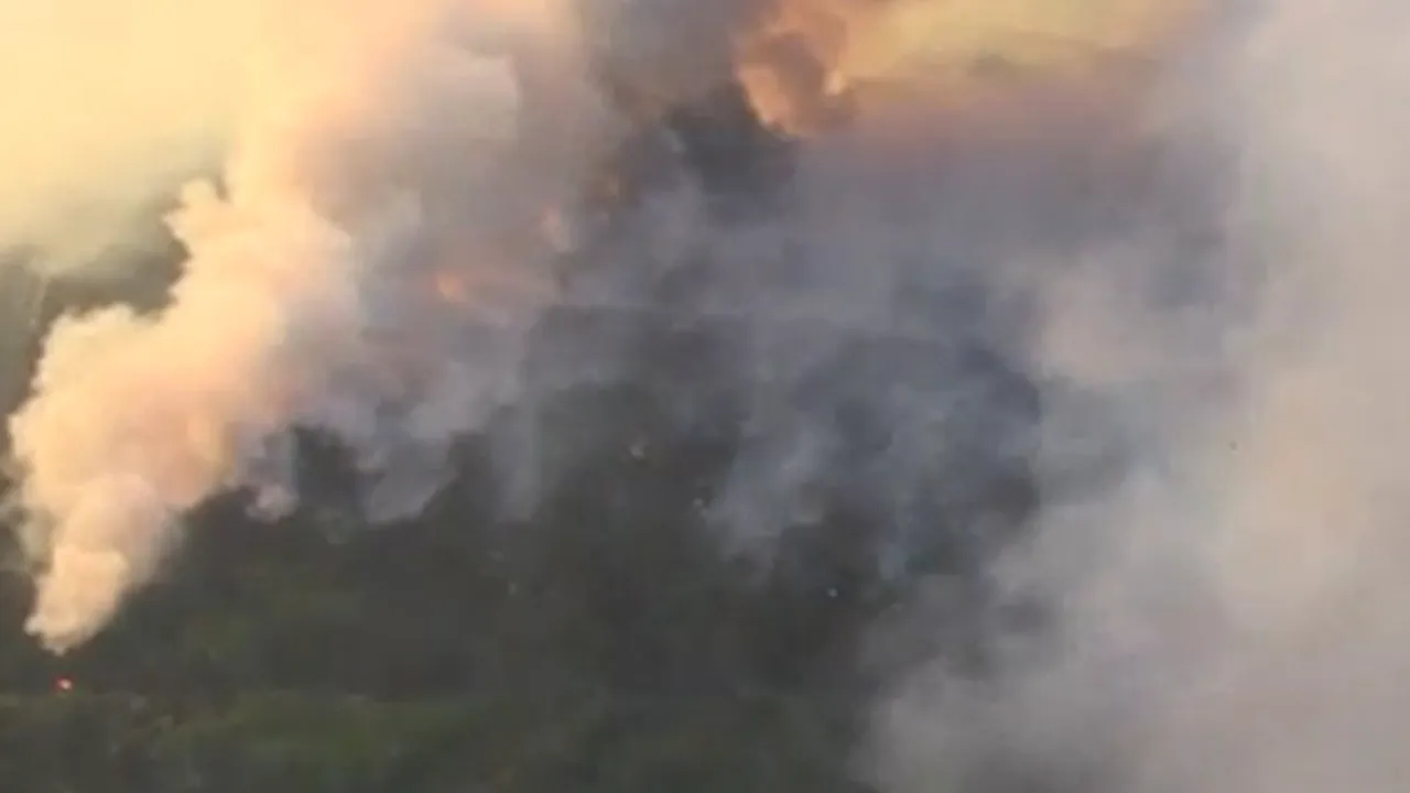 Ucraina: Incendiul ce se extinde spre centrala de la Cernobîl ar fi fost declanşat intenţionat. Autorităţile ucrainene au declanşat o anchetă penală - VIDEO