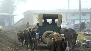 Cutremur de suprafaţă de 6,5 grade, produs în Botswana - USGS