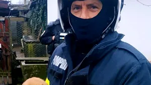 Povestea emoţionantă a unui căţel condamnat la moarte. Cum a fost salvat de pompierii din Bihor
