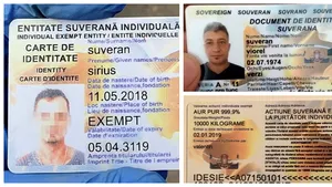 Cine sunt şi ce vor 