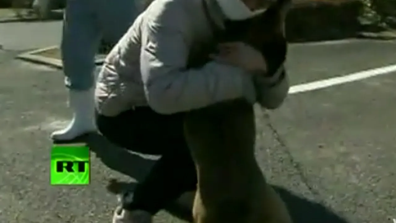 Câinele salvat după trei săptămâni de la cutremurul din Japonia şi-a găsit stăpâna - VIDEO