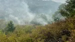 Incendii violente de vegetație în Hunedoara: Peste 22 de hectare au ars și traficul pe un drum național a fost blocat