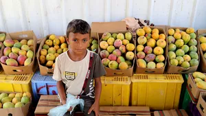 Criza alimentară: Yemen vrea să importe grâu din India pentru că rămâne fără provizii