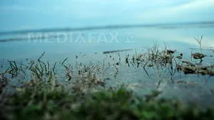 DUNĂREA a depăşit COTELE de atenţie în Olt. Peste 200 de hectare de păşune inundate