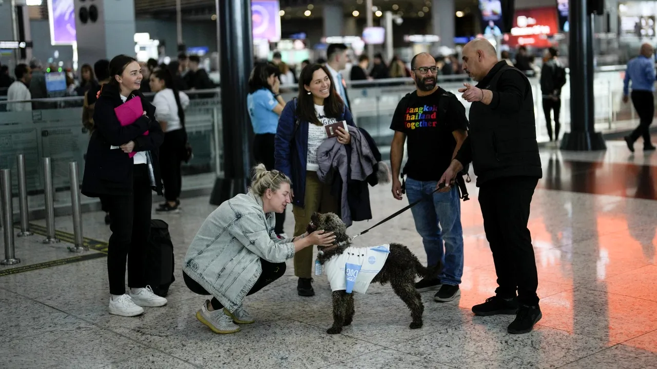Aeroportul din Istanbul, modalitate inedită de a-i ajuta pe călătorii anxioşi: câini de terapie