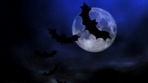 Premiere în secţiunea 