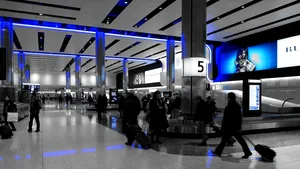Alertă pe un aeroport internațional. Specie invazivă ce poate provoca un dezastru economic, descoperită în bagajul unui pasager