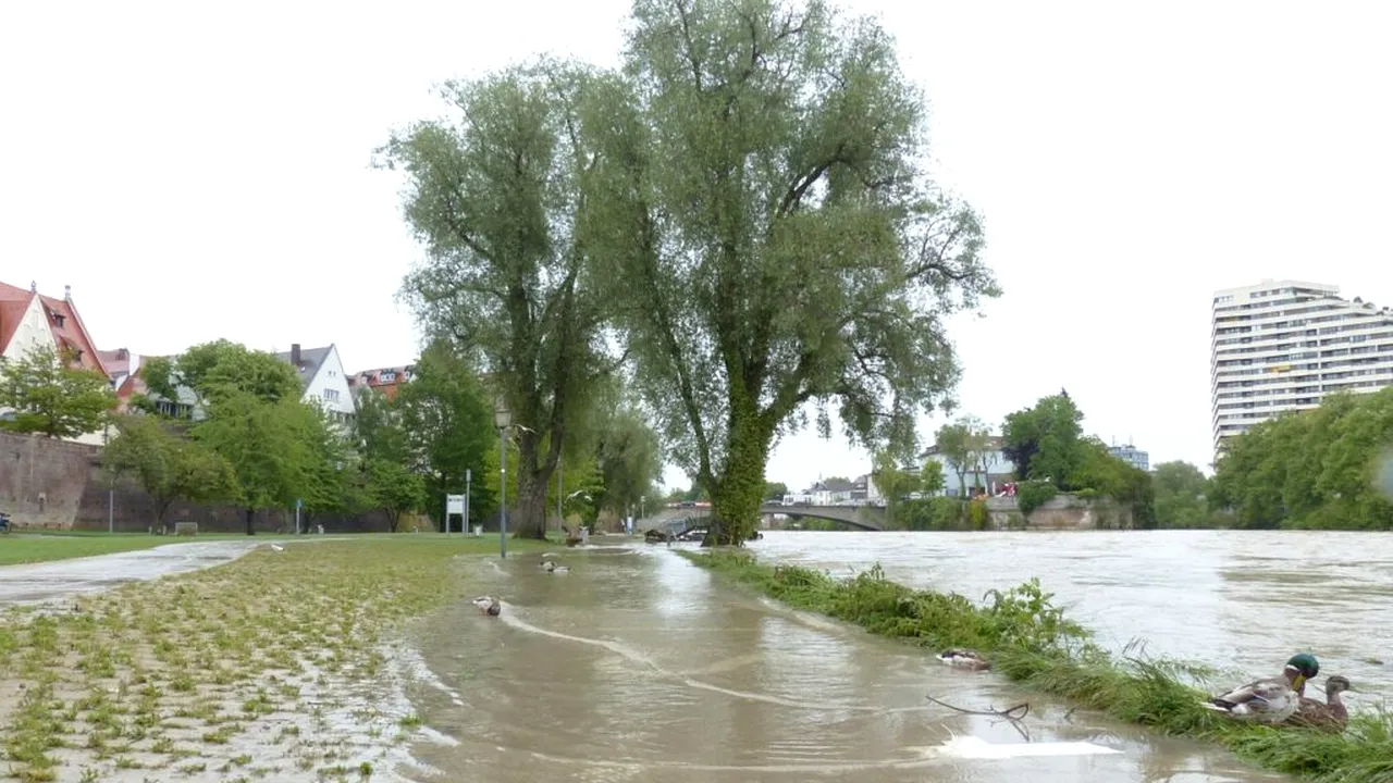 Pericol de viituri în Tulcea. Locuitorii din zonele vizate au primit mesaj RO Alert