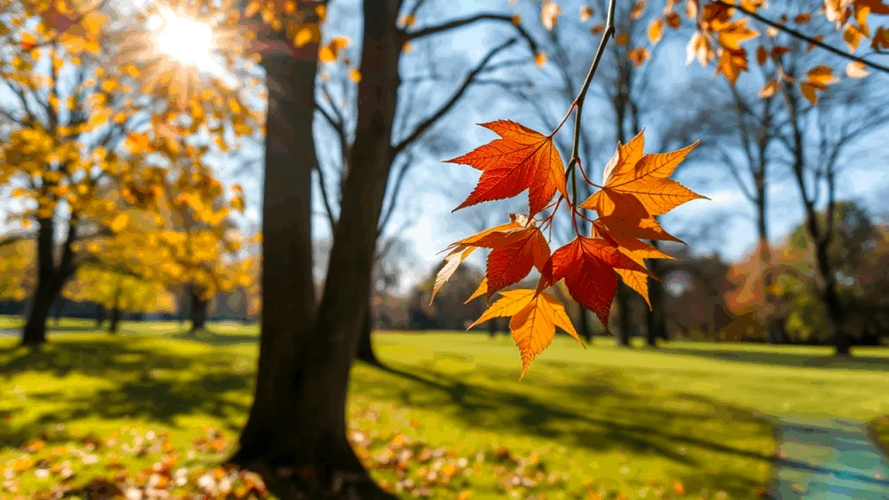 Ce temperaturi vor fi la începutul toamnei? Prognoza emisă de ANM