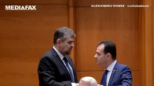 COMENTARIU Lelia Munteanu: Partidul Naţional Liberal Social-Democrat