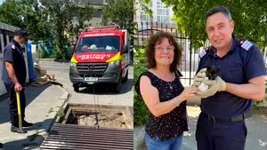 FOTO: Pompierii au venit în ajutorul unui pisoi neatent, care căzuse în canalizare. Puiul a fost adoptat de cea care l-a salvat