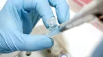 Un nou mecanism de apărare împotriva infecțiilor bacteriene, descoperit