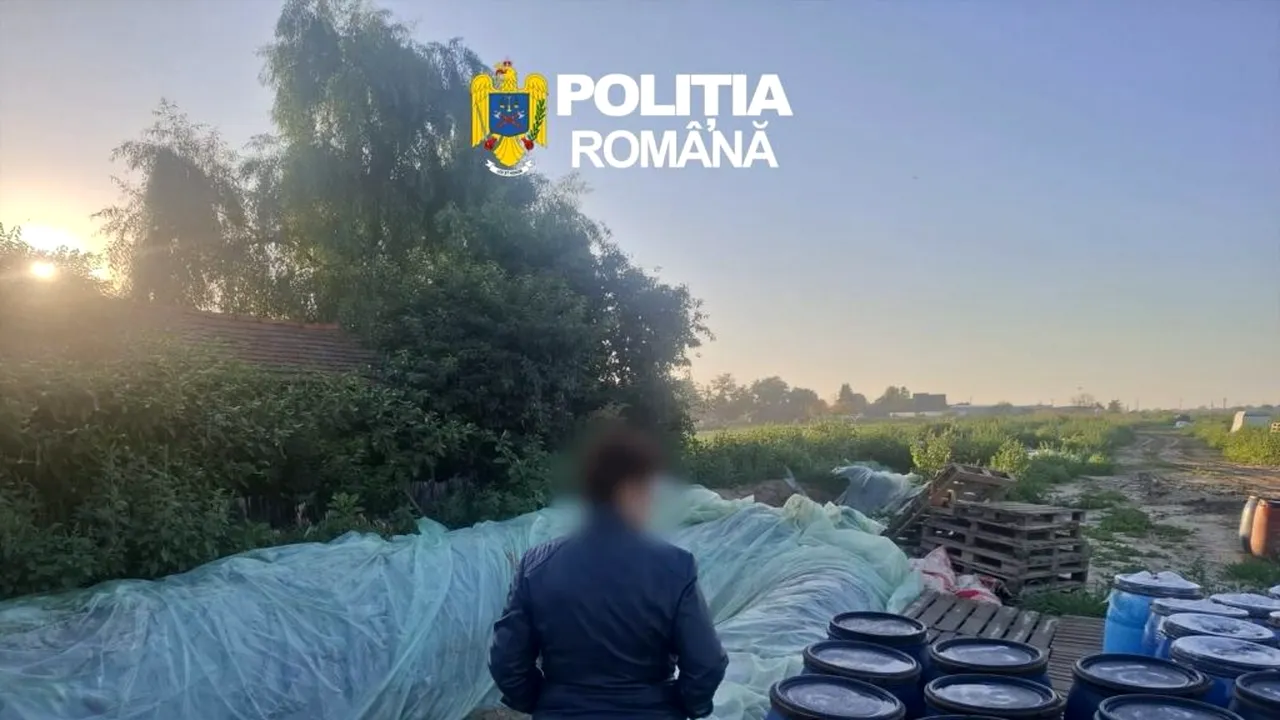 Opt tone de varză murată, găsite depozitate în gropi cu folie, în Dâmbovița, distruse