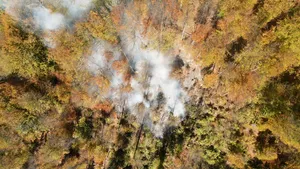 Incendiu puternic pe Valea Doftanei, în Prahova