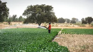 Wilo sprijină financiar proiectul ImpactSites al Africa GreenTec