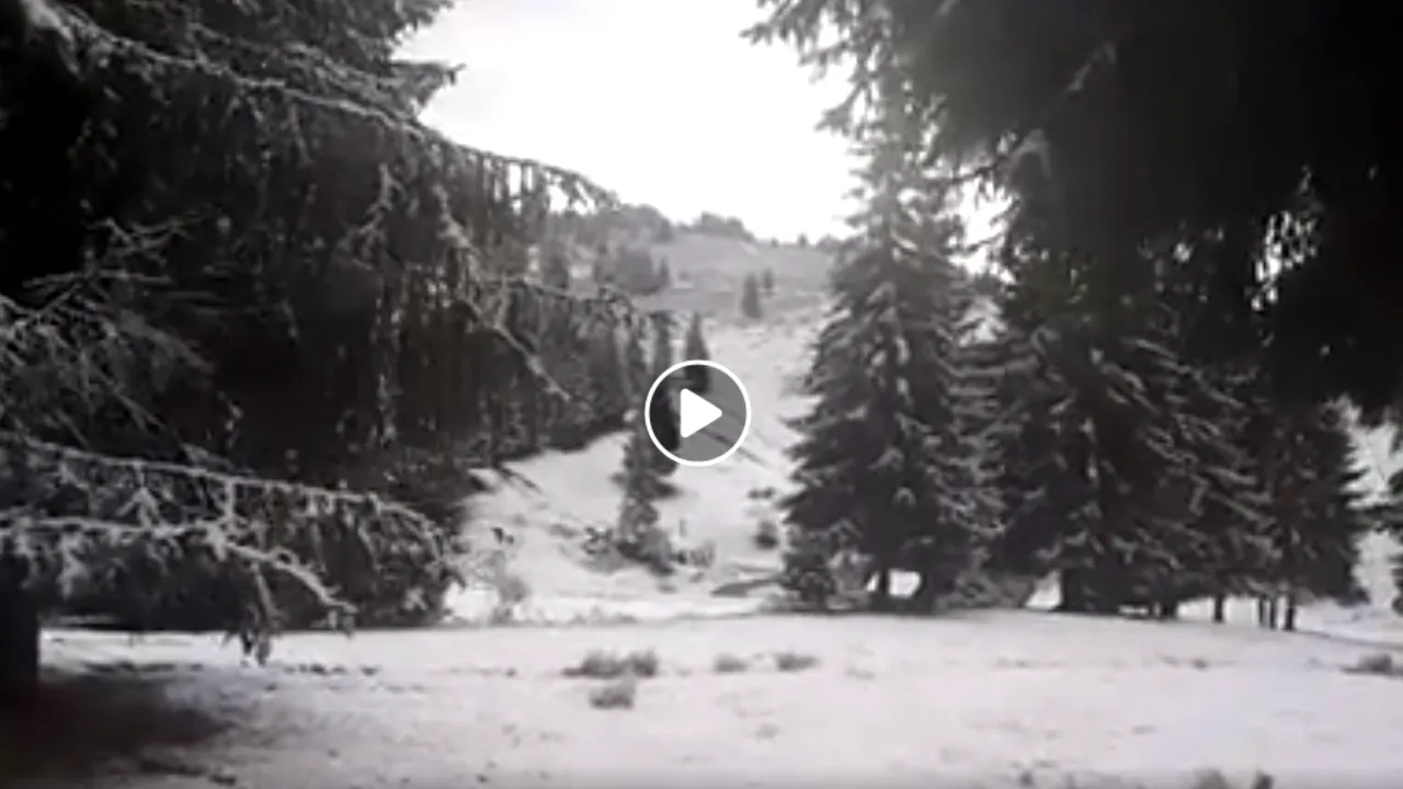 VIDEO Primul strat de zăpadă la Arieşeni, în Munţii Apuseni. Temperatura a scăzut sub zero grade Celsius 