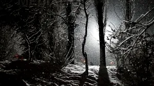 Prima ninsoare în Masivul Parâng, la peste 1.500 de metri altitudine