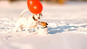 METEO Prognoză specială Bucureşti: Meteorologii anunţă vreme deosebit de caldă