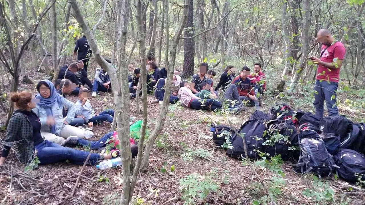 Cincisprezece migranţi din Irak, descoperiţi de poliţişti într-un parc din centrul Timişoarei