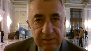 Popa, vicepreşedintele grupului de prietenie cu Franţa: Preşedinţia ar fi trebuit să aibă o reacţie