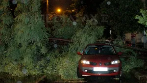 Bucureşti: Aproximativ 10 maşini avariate şi o locuinţă inundată, după furtuna de miercuri noapte - VIDEO