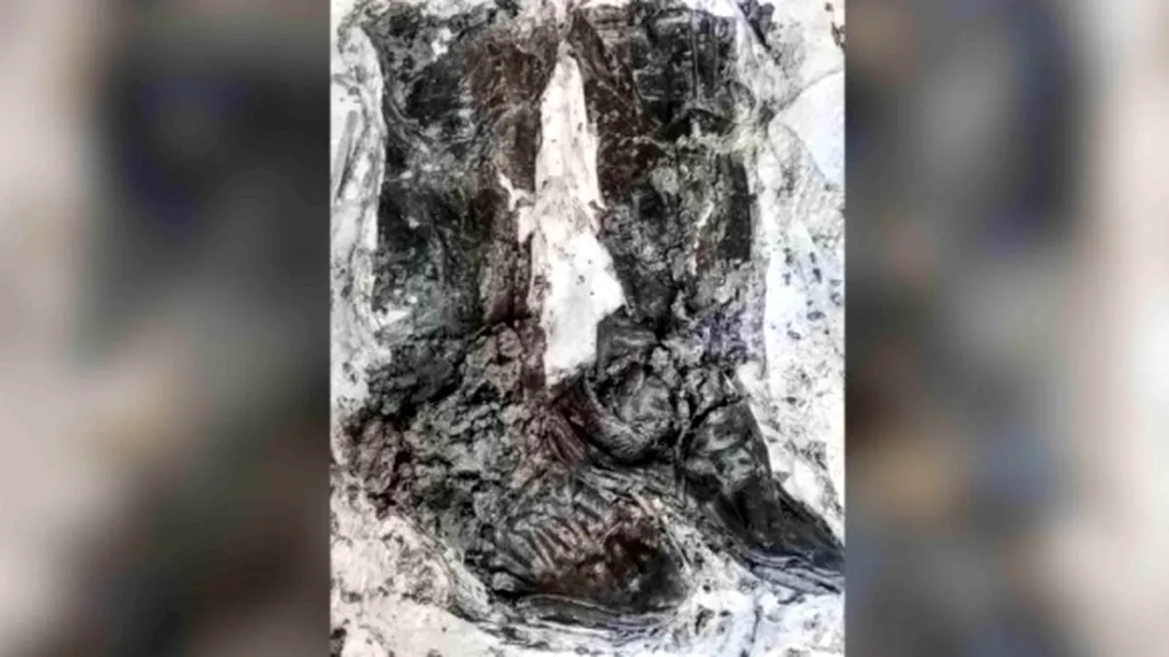 O pereche de CIZME bune este indispensabilă iarna. O echipă de arheologi a găsit una într-un loc total neaşteptat