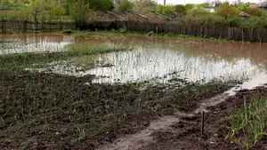 Inundaţiile din Teleorman: 22 de localităţi afectate, 160 de case inundate