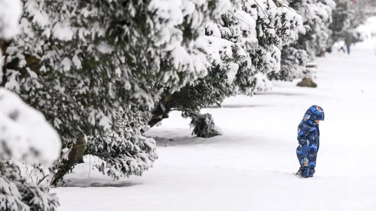 Efectele Codului portocaliu: Trafic restricționat, avarii la rețeaua electrică și zboruri afectate