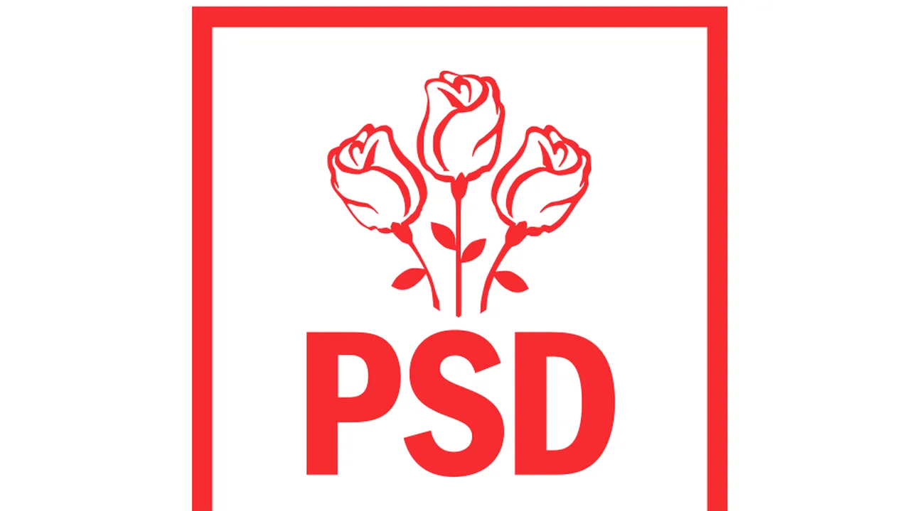 PSD nu susţine diminuarea schemei de compensare a preţurilor şi doreşte revenirea la o piaţă de energie reglementată