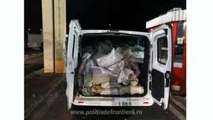 Captură impresionantă | Aproape o tonă de canabis a fost descoperită în microbuzul unui sârb, la Vama Giurgiu / Drogurile valorează 9 milioane euro pe piaţa neagră - VIDEO / GALERIE FOTO