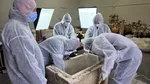 Sarcofag de copil roman, descoperit în Constanța, după săpăturile făcute în zona Flămânda: „Este intact, s-a păstrat inclusiv părul”