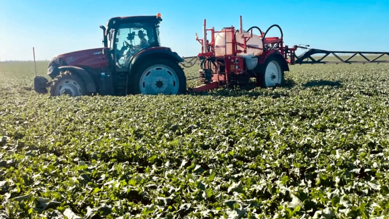 Câștigătoarea TalentA promovează agricultură sustenabilă în România printr-un proiect de măcinare a cerealelor pe piatră