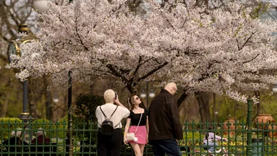 METEO Prognoza pentru luna mai: Primăvară nu doar în calendar, ci și în termometre
