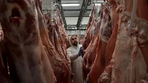 Cel puţin 200 de români infectaţi cu COVID-19 la un abator din Germania