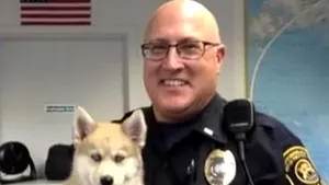 Atacul comis de un canadian, care a înjunghiat un ofiţer de poliţie, în incinta unui aeroport din SUA, este investigat drept incident terorist