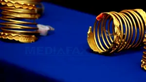 MFP: Statul nu cunoaşte ce patrimoniu public deţine şi valoarea acestuia