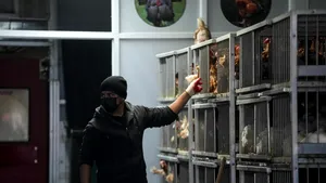 Comisia Europeană planifică măsuri de urgență pentru combaterea gripei aviare în Polonia