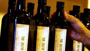 Uleiul de măsline, remediu împotriva obezităţii