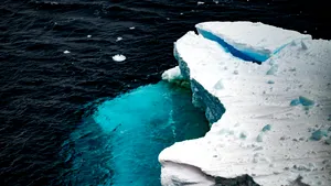 O misiune în Marea Arctică documentează ecosisteme amenințate de exploatările miniere