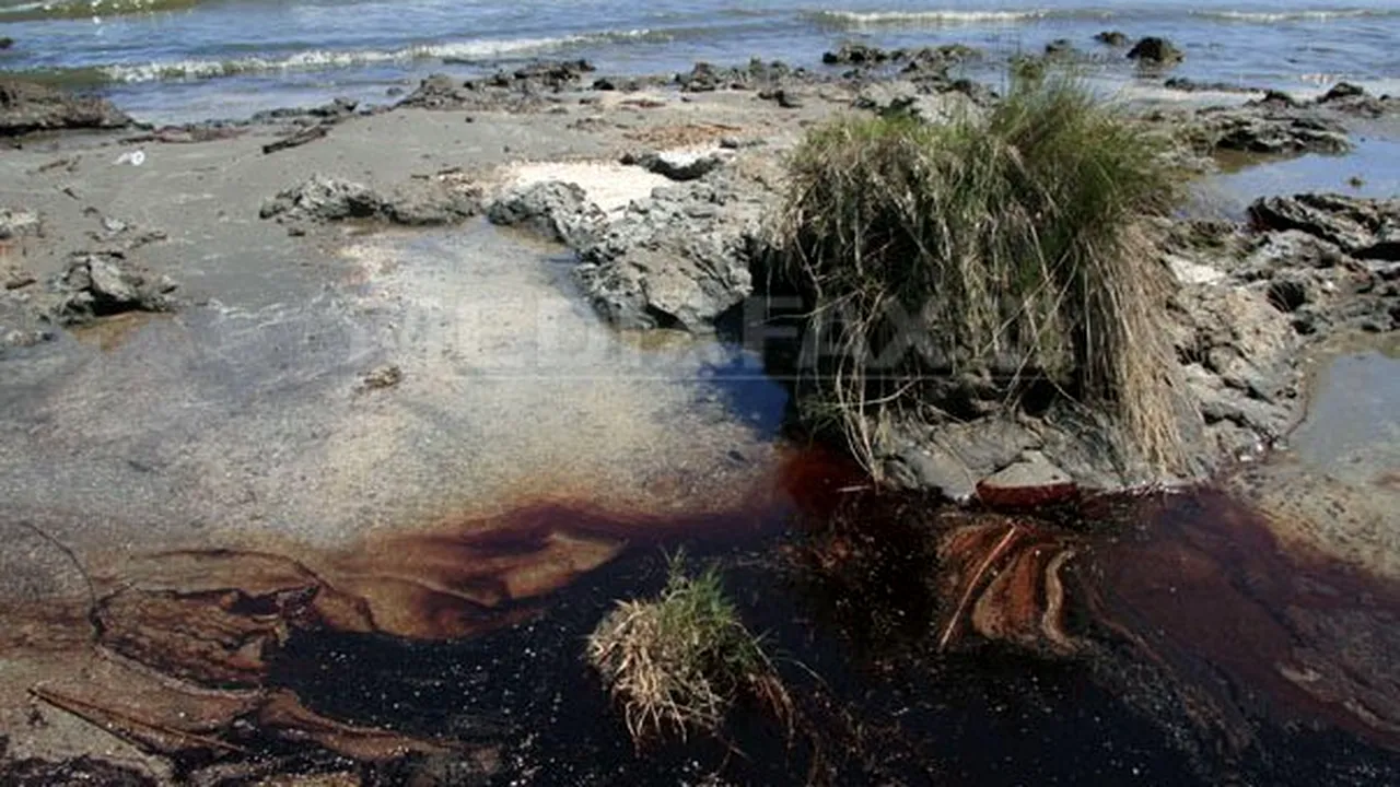Efectele mareei negre din Golful Mexic, resimţite până în Europa şi Oceanul Arctic
