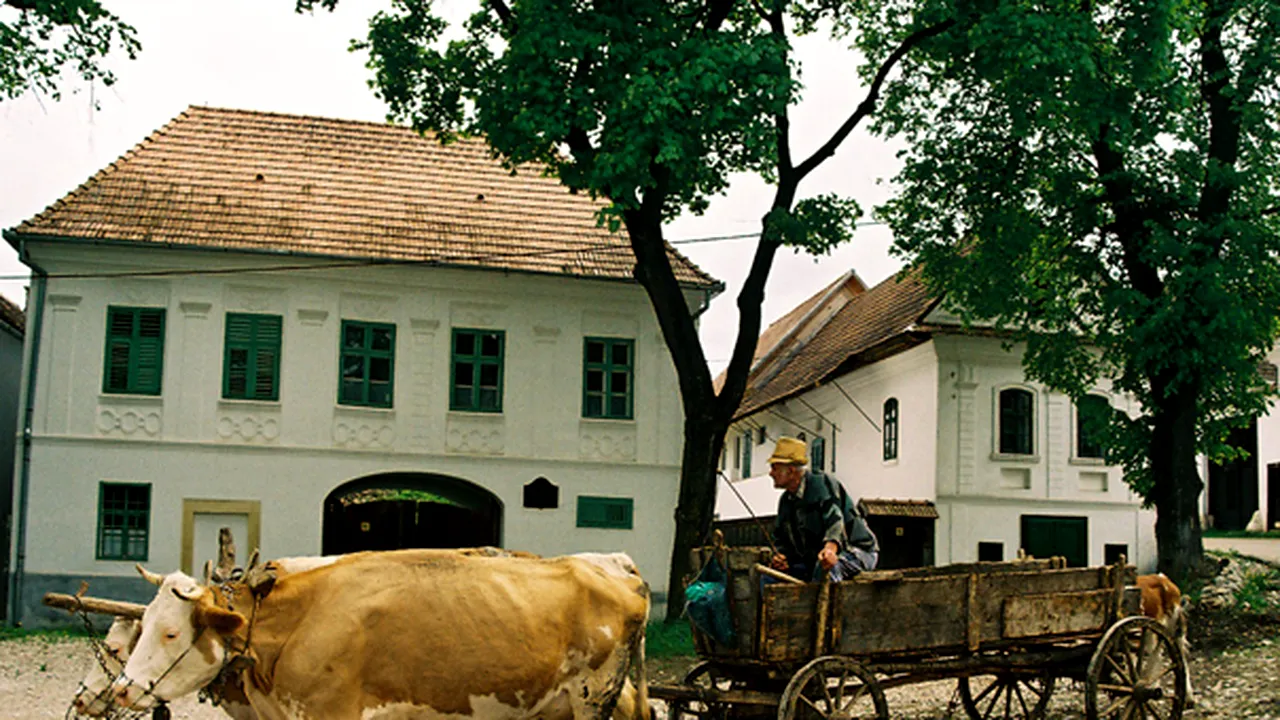 Romanian Traditional Houses To Be Included Among Tourist Receiving Structures - Senate