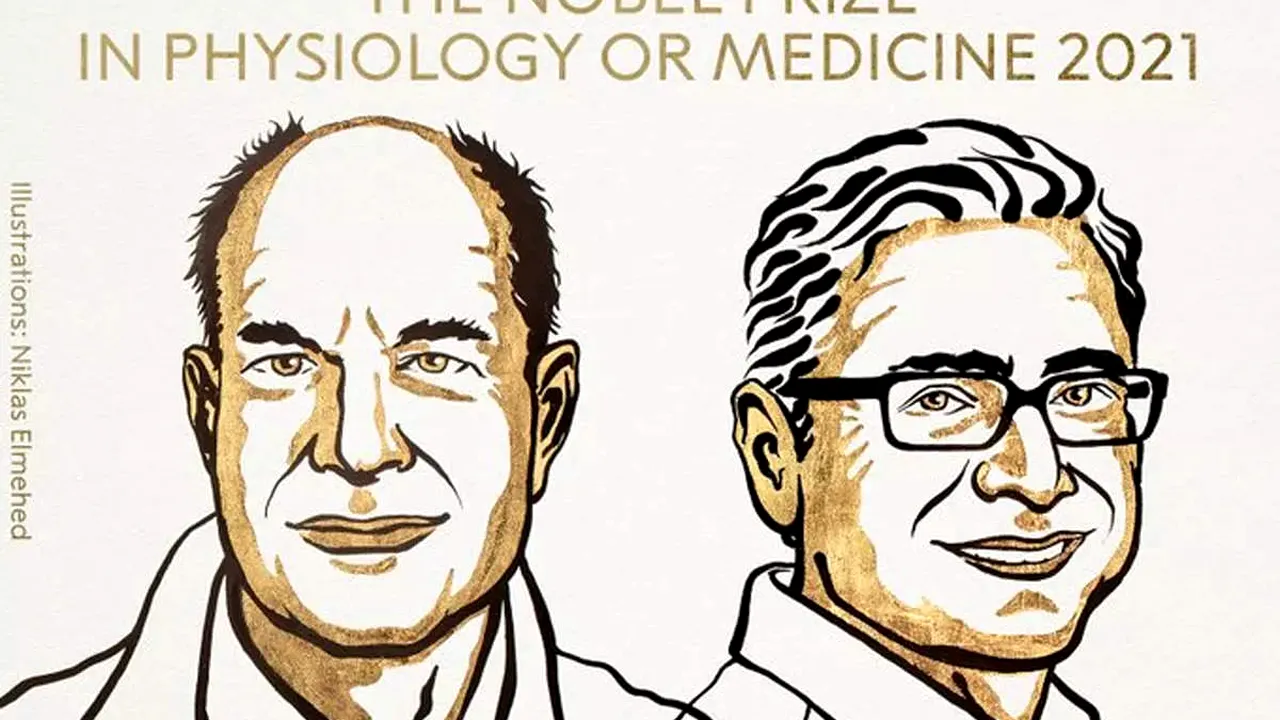 David Julius şi Ardem Patapoutian au câştigat Premiul Nobel pentru Medicină în 2021. Reacţie vehementă: „E o mare dezamăgire” 
