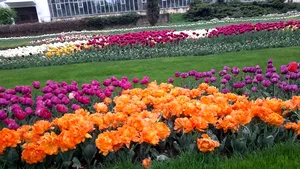 Decoraţiunile de Paşte de altădată, înlocuite la Craiova de „covoare de flori” | FOTO