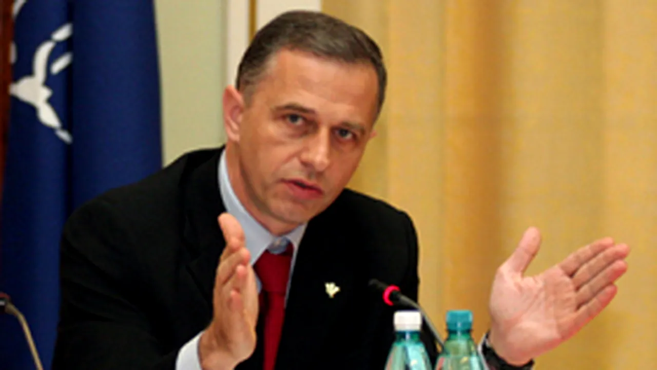 Geoană: România va avea de suferit de pe urma crizei financiare