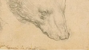 „Capul unui urs” de Leonardo Da Vinci, scos la licitaţie. Desenul ar putea fi vândut cu 16 milioane de dolari
