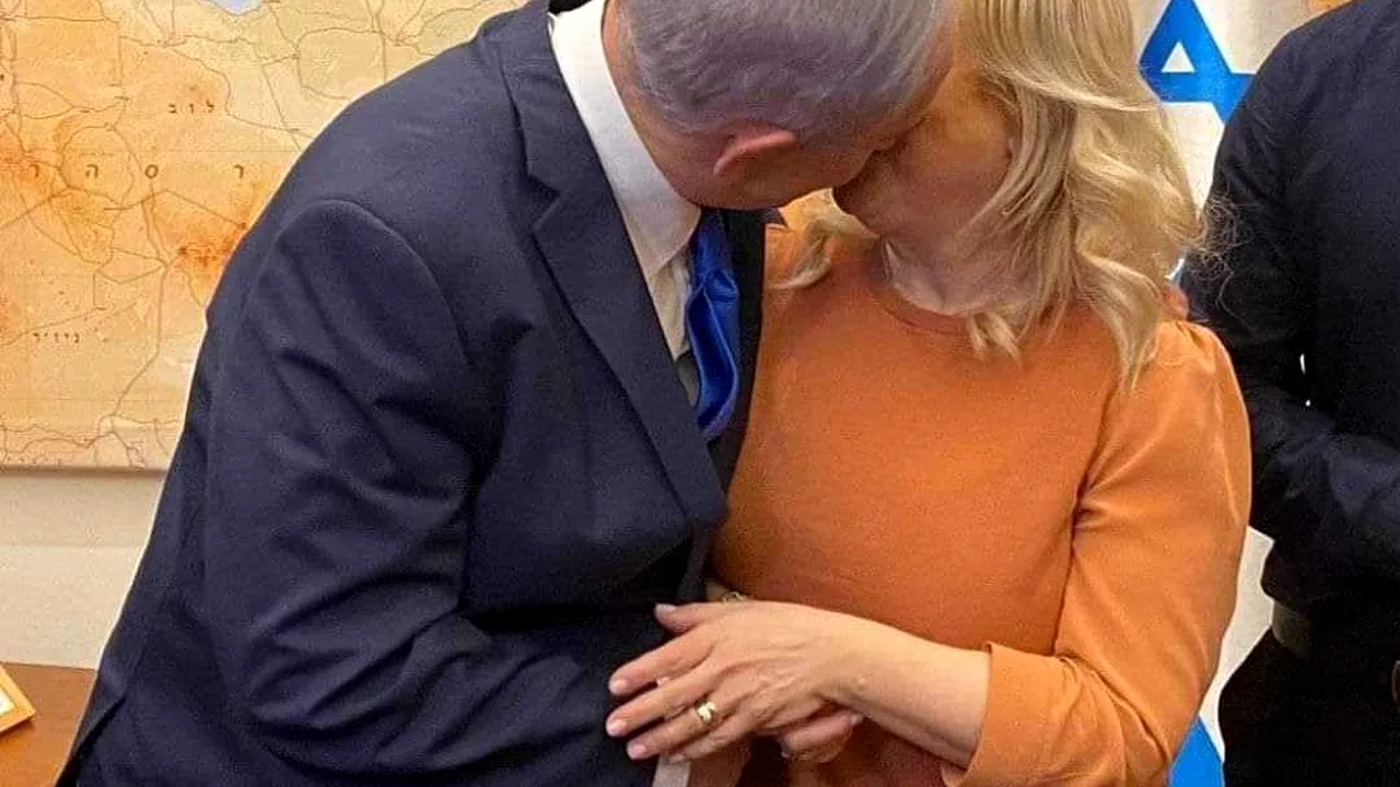 COMENTARIU Lelia MUNTEANU: 